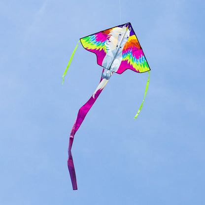 Simple Flyer Pegasus 120