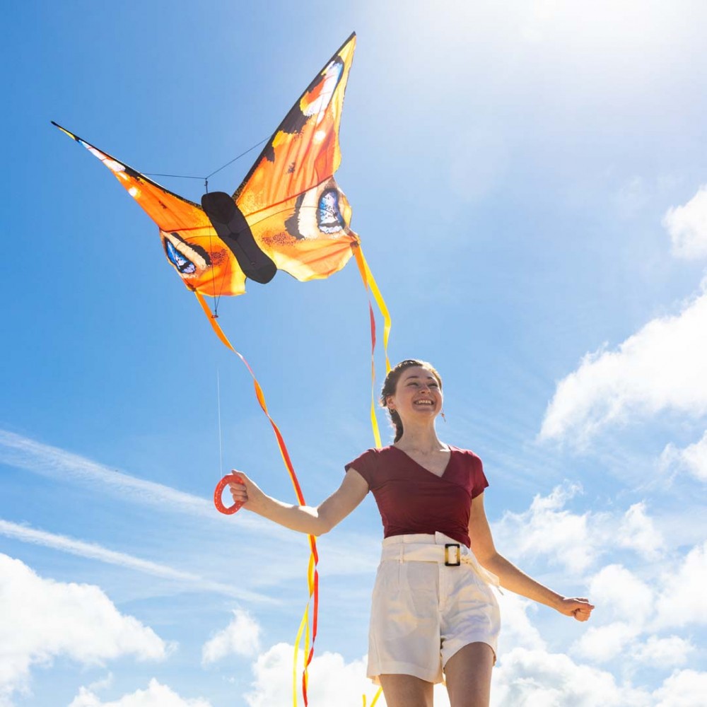 Butterfly Kite Peacock 130